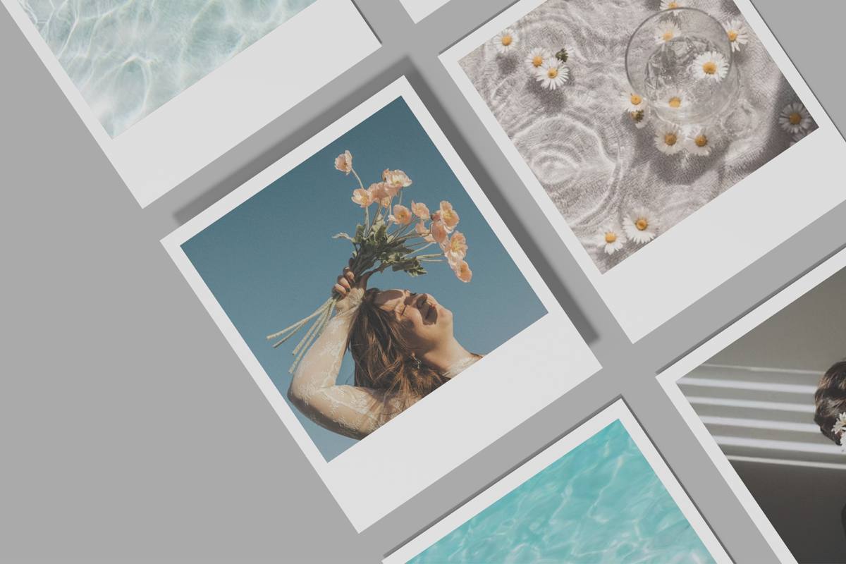 Melrose Brand Identity visual 10